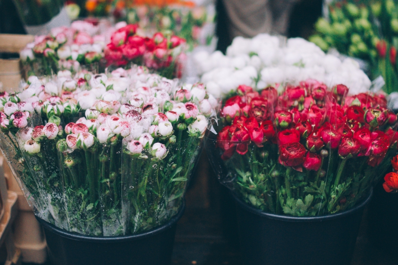 fleuriste-GAREOULT-min_farmers-market-1209712